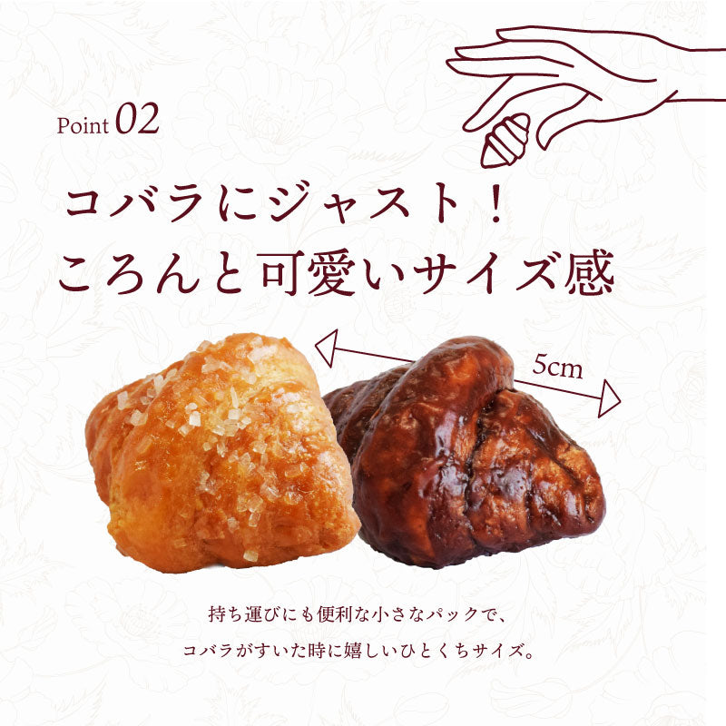 プティクロワッサン 2種6袋セット – こだわりスイーツの店RETON
